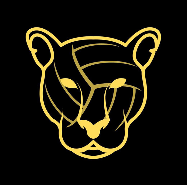 Prowess Volleyball Training logo
